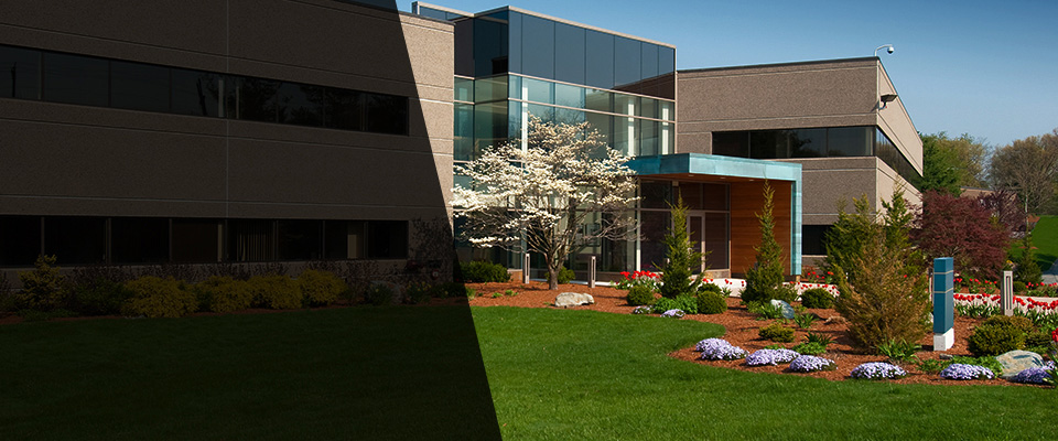 Carmel Valley Landscapers