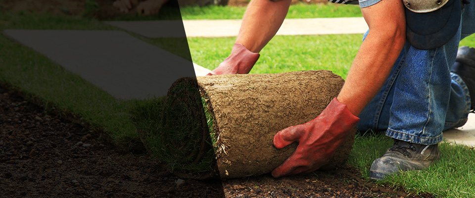 Carmel Valley Landscapers